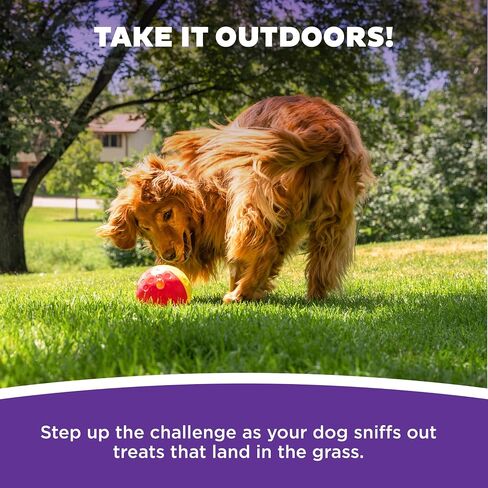 Outward Hound by Planet Dog Snoop Interactive Treat Dispensing Dog Toy, Large, Blue in Kuwait