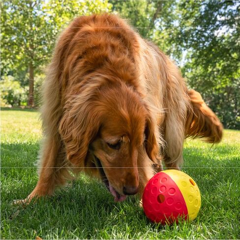 Outward Hound by Planet Dog Snoop Interactive Treat Dispensing Dog Toy, Large, Blue in Kuwait