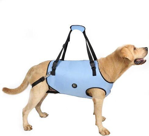 Coodeo Dog Lift Harness, Pet Support & Rehabilitation Sling Lift Adjustable Padded Breathable Straps for Old, Disabled, Joint Injuries, Arthritis, Loss of Stability Dogs Walk (Black, L) in Saudi Arabia