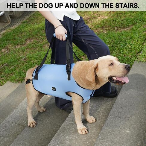 Coodeo Dog Lift Harness, Pet Support & Rehabilitation Sling Lift Adjustable Padded Breathable Straps for Old, Disabled, Joint Injuries, Arthritis, Loss of Stability Dogs Walk (Black, L) in Saudi Arabia