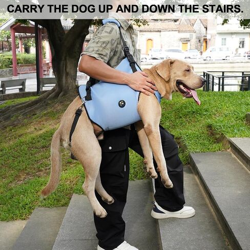 Coodeo Dog Lift Harness, Pet Support & Rehabilitation Sling Lift Adjustable Padded Breathable Straps for Old, Disabled, Joint Injuries, Arthritis, Loss of Stability Dogs Walk (Black, L) in Saudi Arabia