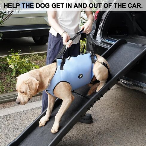 Coodeo Dog Lift Harness, Pet Support & Rehabilitation Sling Lift Adjustable Padded Breathable Straps for Old, Disabled, Joint Injuries, Arthritis, Loss of Stability Dogs Walk (Black, L) in Saudi Arabia