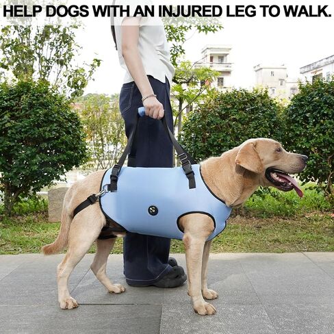 Coodeo Dog Lift Harness, Pet Support & Rehabilitation Sling Lift Adjustable Padded Breathable Straps for Old, Disabled, Joint Injuries, Arthritis, Loss of Stability Dogs Walk (Black, L) in Saudi Arabia