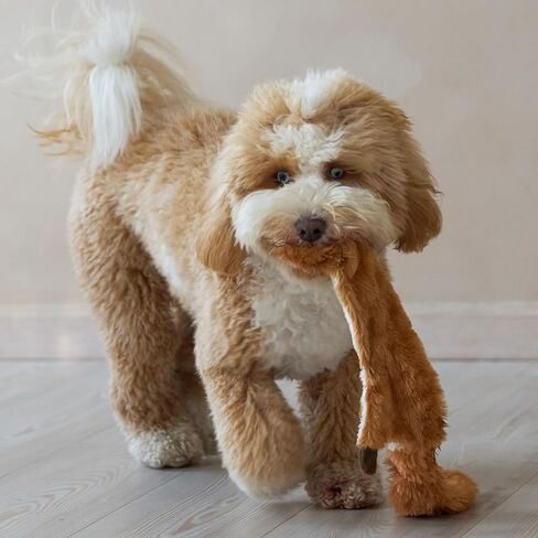 SPOT Skinneeez Stuffless Dog Toy with Squeaker | Plush Tug of War Skunk Squeak Toy for Small and Large Dog Breeds | Machine Washable | Large in Kuwait