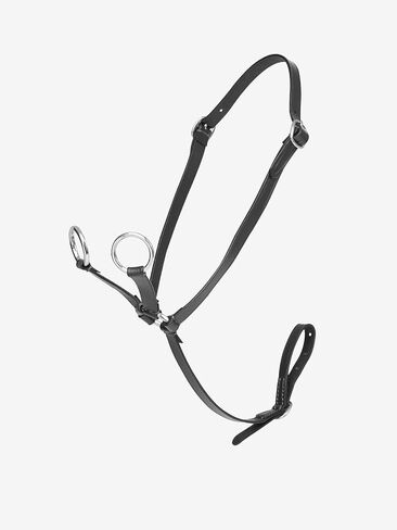 إكسسوار لعبة LeMieux Toy Pony Martingale من الجلد باللون البني أو الأسود in Saudi Arabia