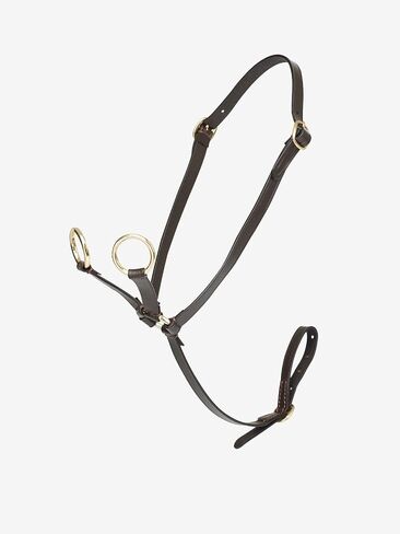 إكسسوار لعبة LeMieux Toy Pony Martingale من الجلد باللون البني أو الأسود in Saudi Arabia