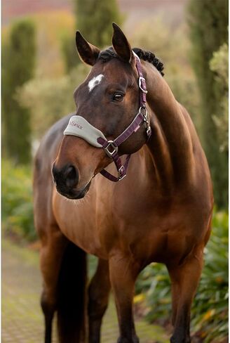 LeMieux Vogue Fleece Headcollar - Halter & Leadrope - Extra Padding, Adjustable at Curb and Poll Strap in Saudi Arabia