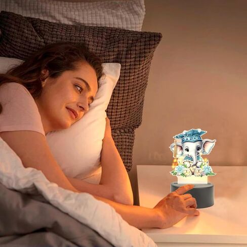 Tdferan Diamond Painting LED LED LID DIY TREND PEPPLENT MAIMOND ART KITS for البالغين مصباح الماس غرفة الغرفة الأضواء in Kuwait