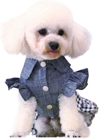 Gyuzh الكلب فقاعة Bowknot تنورة الكلب كاوبوي الأميرة فساتين جرو توتو التنانير الصيف الكلب فستان للكلاب الفتيات الصغيرة المتوسطة الكلب in Kuwait