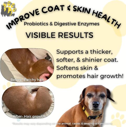 Probiotics, Prebiotics, & Digestive Enzymes for Dogs| Limited Ingredients| Organic |Digestive Support |Allergy Relief |Immune Support| Reduces Inflammation| Diarrhea & Gas Relief in Kuwait