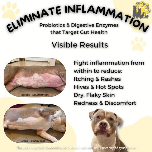 Probiotics, Prebiotics, & Digestive Enzymes for Dogs| Limited Ingredients| Organic |Digestive Support |Allergy Relief |Immune Support| Reduces Inflammation| Diarrhea & Gas Relief in Kuwait
