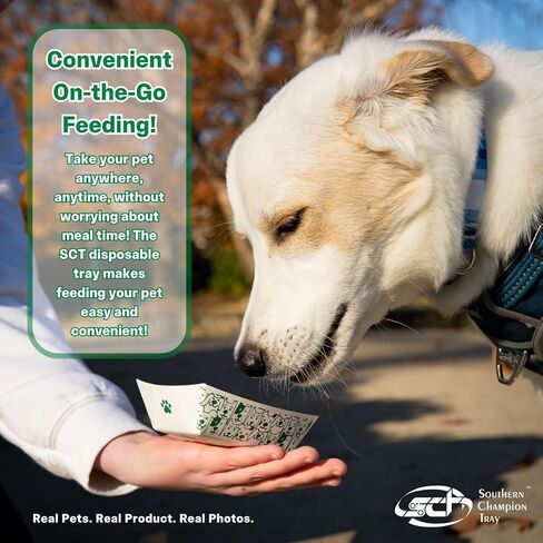 صينية البطل الجنوبي ، وعاء طعام للحيوانات الأليفة المتوسطة القابلة للتصرف ، ودرج ، و purrfect لتغذية القطط والكلاب ، والطعام الرطب والطعام الجاف ، والداخلية والخارجية ، وسعة 1 كوب ، 250 العدد in Kuwait