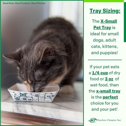 صينية البطل الجنوبي ، وعاء طعام للحيوانات الأليفة المتوسطة القابلة للتصرف ، ودرج ، و purrfect لتغذية القطط والكلاب ، والطعام الرطب والطعام الجاف ، والداخلية والخارجية ، وسعة 1 كوب ، 250 العدد in Kuwait