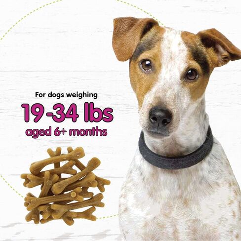 Belly Bones for Dogs, 4 Yogurt Flavor Large Dog Dental Treats (Made in USA) - 4 Count Dog Treats for Large Dogs - Plaque and Tartar Control for Fresh Breath, Digestive Health Support in Saudi Arabia