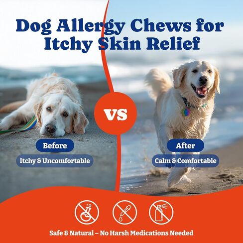 Cog Allergy Relief Leafs - دعم المناعة وإغاثة الحكة مع اللبأ ، Astragalus Root ، مزيج صحة الأمعاء المكون من 6 خطوات - Duck & Pear ، 160 Count in Saudi Arabia