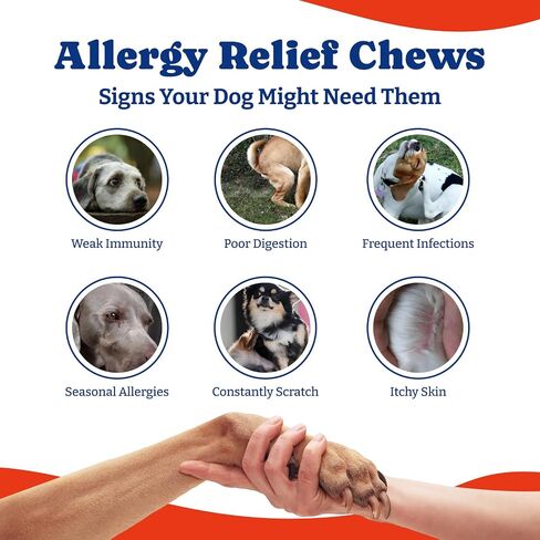 Cog Allergy Relief Leafs - دعم المناعة وإغاثة الحكة مع اللبأ ، Astragalus Root ، مزيج صحة الأمعاء المكون من 6 خطوات - Duck & Pear ، 160 Count in Saudi Arabia