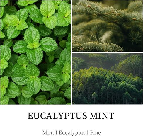 Scented Candles for Men, 4 Pack Mens Candle Gift Set, Relaxation Candles for Home Scented, 28oz Soy Wax Aromatherapy Candles of Lavender/Patchouli/Sandalwood/Smoke & Vanilla in Saudi Arabia