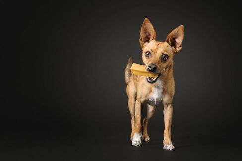Himalayan Dog Chew ، Yak Cheese Dog Treats ، البروتين العالي ، مضغ طويل الأمد ، معالجة الكلاب الطبيعية الخالية من اللاكتوز لمضغات العدوانية أكثر in Kuwait
