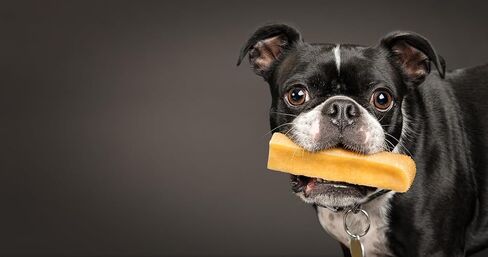 Himalayan Dog Chew ، Yak Cheese Dog Treats ، البروتين العالي ، مضغ طويل الأمد ، معالجة الكلاب الطبيعية الخالية من اللاكتوز لمضغات العدوانية أكثر in Kuwait