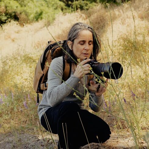 ذروة تصميم حقيبة الظهر اليومية V3 20L ، حقيبة الكاميرا ، حقيبة الظهر المحمول مع الأكمام اللوحي Bedb-20-As-3 (الرماد) in Kuwait