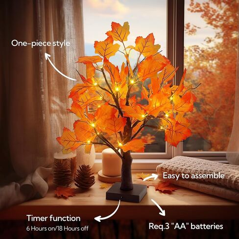 Woohaha 2ft Money Tree with Holder ، 24led Birch Tree Table Protiece ، بطارية بطاقة الهدايا/USB مدعومة بـ 6 مقاطع و 6 بطاقات للمنزل ، الحفلات ، عيد الميلاد ، حفل زفاف ، عيد ميلاد ، التخرج in Kuwait