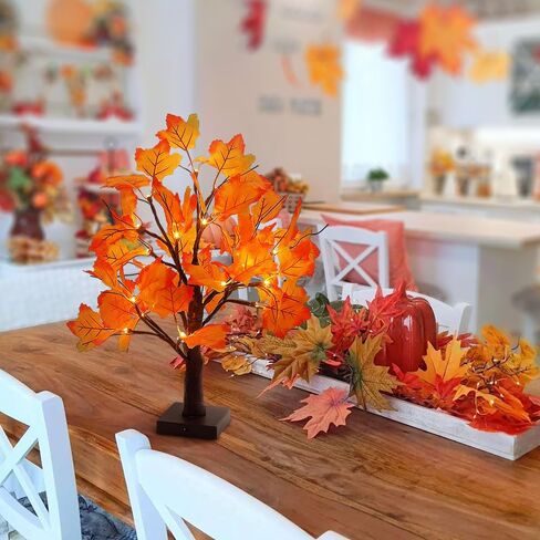 Woohaha 2ft Money Tree with Holder ، 24led Birch Tree Table Protiece ، بطارية بطاقة الهدايا/USB مدعومة بـ 6 مقاطع و 6 بطاقات للمنزل ، الحفلات ، عيد الميلاد ، حفل زفاف ، عيد ميلاد ، التخرج in Kuwait