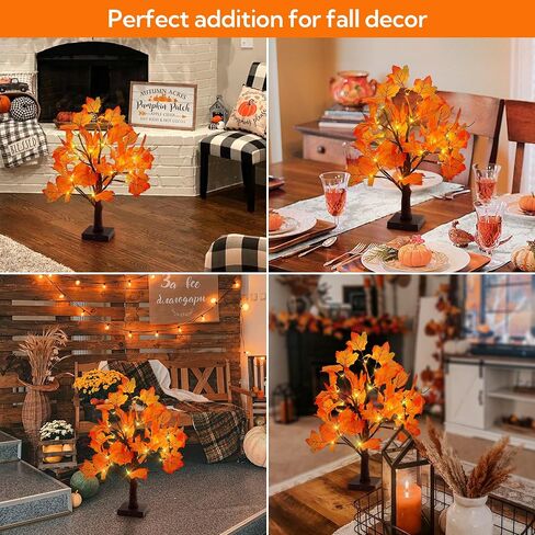 Woohaha 2ft Money Tree with Holder ، 24led Birch Tree Table Protiece ، بطارية بطاقة الهدايا/USB مدعومة بـ 6 مقاطع و 6 بطاقات للمنزل ، الحفلات ، عيد الميلاد ، حفل زفاف ، عيد ميلاد ، التخرج in Kuwait