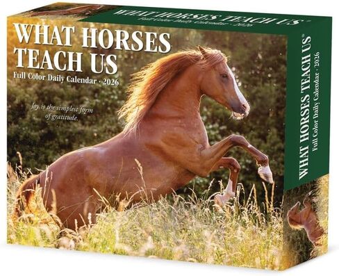 Willow Creek Press What Horses Teach Us Daily 2025 Box/Desk Calendar (5.86" x 4.72") in Saudi Arabia