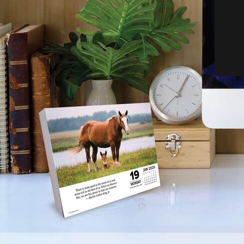 Willow Creek Press What Horses Teach Us Daily 2025 Box/Desk Calendar (5.86" x 4.72") in Saudi Arabia