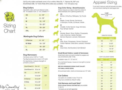 UP Country Bee Dog Collar ، Small (9 " - 15") ، عرض ضيقة 5/8 " in Kuwait