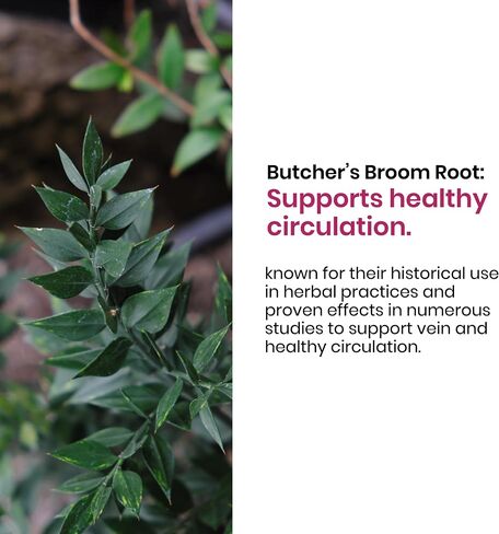 Promotes Healthy Circulation & Leg Vein Support Supplement with Ruscus Aculeatus, Supports Leg Health - 60ct in Saudi Arabia