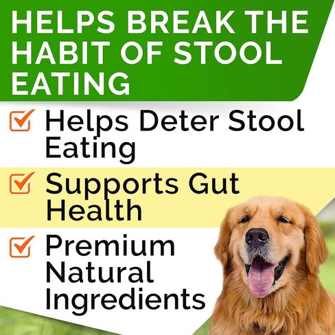 STRELLALAB Vet Strength Dog Probiotics Treats + Digestive Enzymes + Prebiotics - 110 Ct (Pack of 1) Chewable Fiber w/Pumpkin - Allergy, Diarrhea, Gas, Constipation, Upset Stomach Relief - Red Meat in Saudi Arabia