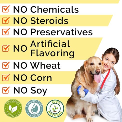Strellalab Vet قوة الكلب الكلب يعالج + الإنزيمات الجهاز الهضمي + البريبايوتيك - 110 مئو in Kuwait