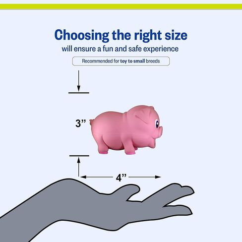 PetSport Naturflex Tiny Tots Small Pig Latex Dog Chew Toy | All-Natural Soft, Squeaky, Non-Toxic Rubber Chew Toy | Safe for Indoor Play | 3.5" in Kuwait