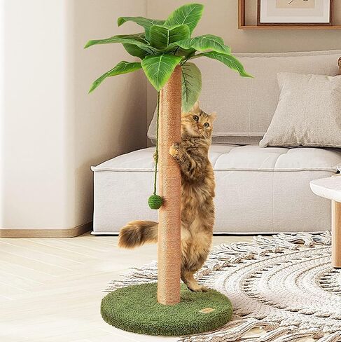Cat Scratching Post Cat Scratcher 32 inch Tall Scratching Post with Sisal Rope for Indoor Cats Scratcher Cute for Kitten Scratching Post Green with Cat Toy in Saudi Arabia