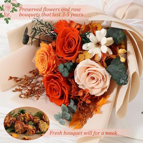Flowers for Delivery Prime Preserved Flower Bouquet That Last 3-5 Years Real Forever Rose Bouquet Mothers Day Gifts for Mom Birthday Anniversary Christmas Gift for Her Women Wife Girlfriend(Pink) in Kuwait