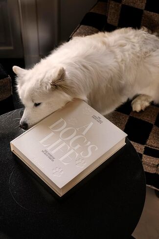 Photo Book – Every Picture Tells a Story – Expandable Hardcover Album with 80 Pages – Fits 160 Horizontal 11x15 cm Photos – Stylish Bookshelf – Dark Grey Cloth Cover in Kuwait