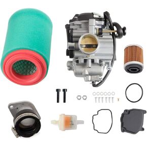 RANSOTO YFM250 Carburetor with Filter Replace Part 4XE-14140-13-00 Compatible with 1999-2004 Yamaha Bear Tracker 250 Yfm250X Yfm250XH Yfm250XM & More ATV Carb