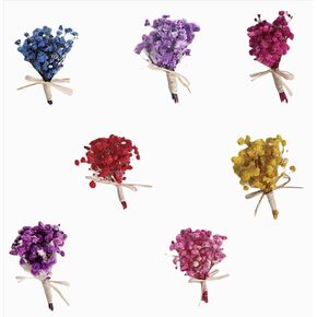 7 قطع صغيرة من باقة زهور هاوورثيا مينيما المجففة، صندوق هدايا لوصيفات العروس من الزهور المجففة الطبيعية لحفلات الزفاف البوهيمية والمزهريات الصغيرة لمراكز الطاولات والحرف اليدوية وديكور زجاجة طاولة عيد الميلاد in Kuwait