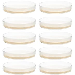 Baluue 10Pcs Nutrient Agar Petri Dishes Science Project Kit, Pre-Poured Agar Plates, Agar Plates Prepoured Supplies for Students