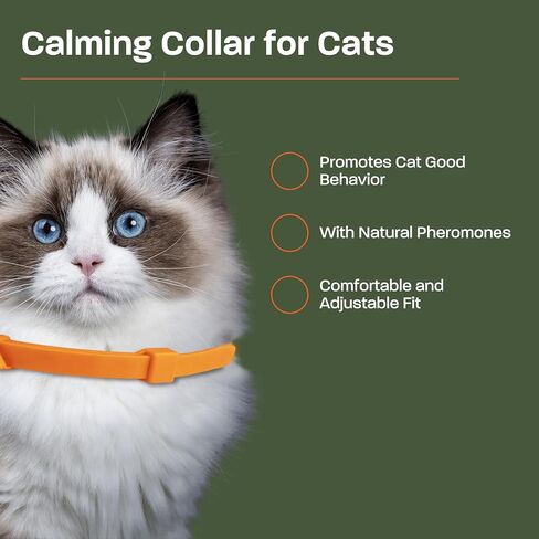2 Pack Calming Collar for Cats - Calming Cat Collar, Cat Pheromone Collar, Cat Calming Collar for Anxiety - Efficient Relieve Reduce Stress Relief for Cats, Ideal for Meowing and Anxiety Reduction in Saudi Arabia