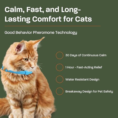 2 Pack Calming Collar for Cats - Calming Cat Collar, Cat Pheromone Collar, Cat Calming Collar for Anxiety - Efficient Relieve Reduce Stress Relief for Cats, Ideal for Meowing and Anxiety Reduction in Saudi Arabia
