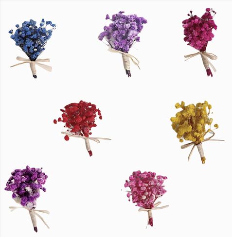 7 قطع صغيرة من باقة زهور هاوورثيا مينيما المجففة، صندوق هدايا لوصيفات العروس من الزهور المجففة الطبيعية لحفلات الزفاف البوهيمية والمزهريات الصغيرة لمراكز الطاولات والحرف اليدوية وديكور زجاجة طاولة عيد الميلاد in Kuwait