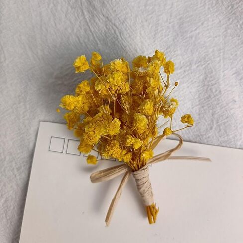 7 قطع صغيرة من باقة زهور هاوورثيا مينيما المجففة، صندوق هدايا لوصيفات العروس من الزهور المجففة الطبيعية لحفلات الزفاف البوهيمية والمزهريات الصغيرة لمراكز الطاولات والحرف اليدوية وديكور زجاجة طاولة عيد الميلاد in Kuwait