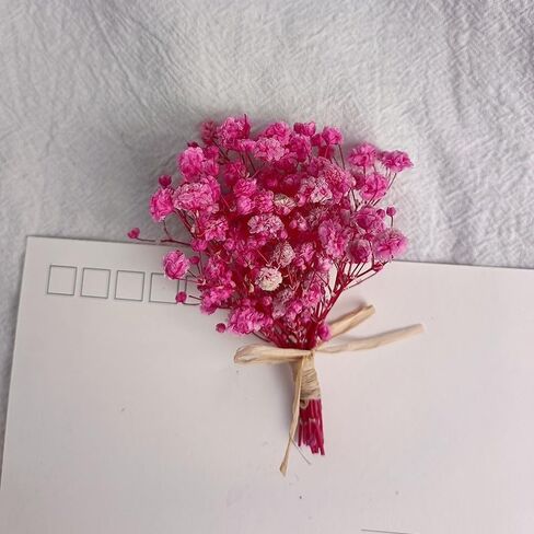 7 قطع صغيرة من باقة زهور هاوورثيا مينيما المجففة، صندوق هدايا لوصيفات العروس من الزهور المجففة الطبيعية لحفلات الزفاف البوهيمية والمزهريات الصغيرة لمراكز الطاولات والحرف اليدوية وديكور زجاجة طاولة عيد الميلاد in Kuwait