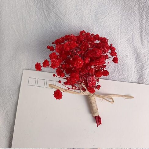 7 قطع صغيرة من باقة زهور هاوورثيا مينيما المجففة، صندوق هدايا لوصيفات العروس من الزهور المجففة الطبيعية لحفلات الزفاف البوهيمية والمزهريات الصغيرة لمراكز الطاولات والحرف اليدوية وديكور زجاجة طاولة عيد الميلاد in Kuwait