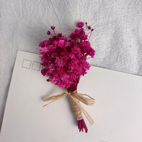 7 قطع صغيرة من باقة زهور هاوورثيا مينيما المجففة، صندوق هدايا لوصيفات العروس من الزهور المجففة الطبيعية لحفلات الزفاف البوهيمية والمزهريات الصغيرة لمراكز الطاولات والحرف اليدوية وديكور زجاجة طاولة عيد الميلاد in Kuwait