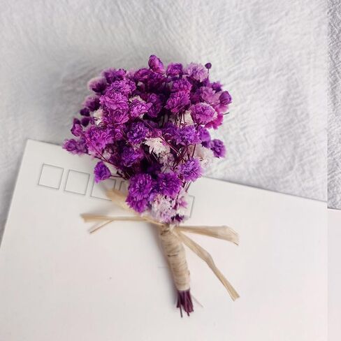 7 قطع صغيرة من باقة زهور هاوورثيا مينيما المجففة، صندوق هدايا لوصيفات العروس من الزهور المجففة الطبيعية لحفلات الزفاف البوهيمية والمزهريات الصغيرة لمراكز الطاولات والحرف اليدوية وديكور زجاجة طاولة عيد الميلاد in Kuwait