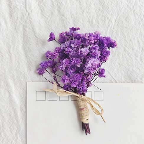 7 قطع صغيرة من باقة زهور هاوورثيا مينيما المجففة، صندوق هدايا لوصيفات العروس من الزهور المجففة الطبيعية لحفلات الزفاف البوهيمية والمزهريات الصغيرة لمراكز الطاولات والحرف اليدوية وديكور زجاجة طاولة عيد الميلاد in Kuwait