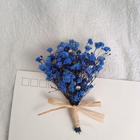 7 قطع صغيرة من باقة زهور هاوورثيا مينيما المجففة، صندوق هدايا لوصيفات العروس من الزهور المجففة الطبيعية لحفلات الزفاف البوهيمية والمزهريات الصغيرة لمراكز الطاولات والحرف اليدوية وديكور زجاجة طاولة عيد الميلاد in Kuwait